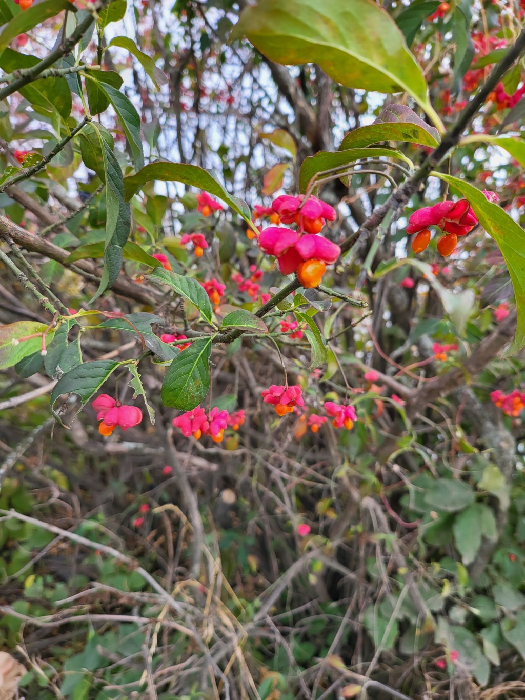 More on My&nbsp;Background